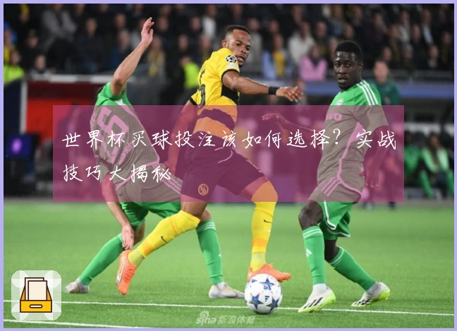 世界杯买球投注该如何选择？实战技巧大揭秘