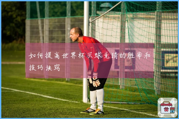 如何提高世界杯买球竞猜的胜率和技巧诀窍