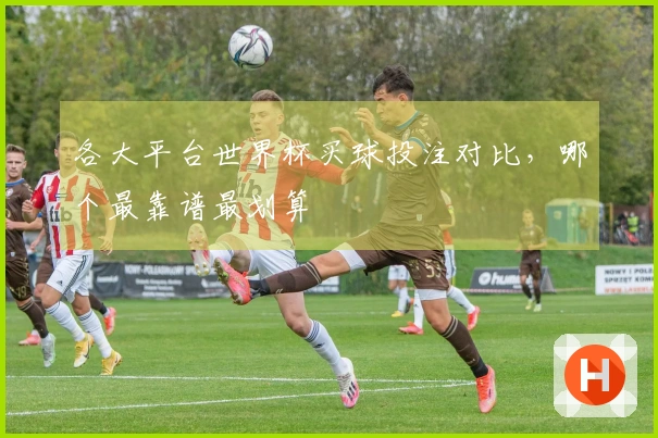 各大平台世界杯买球投注对比，哪个最靠谱最划算