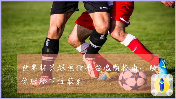 世界杯买球竞猜平台选购指南，助你轻松下注获利