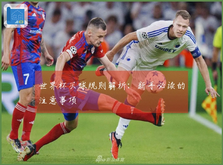 世界杯买球规则解析：新手必读的注意事项