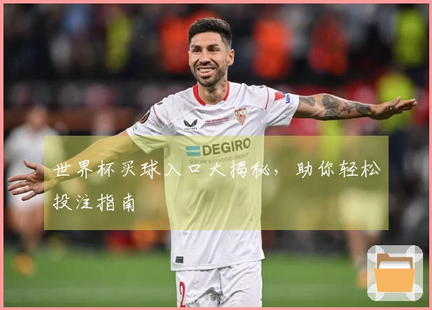 世界杯买球入口大揭秘，助你轻松投注指南