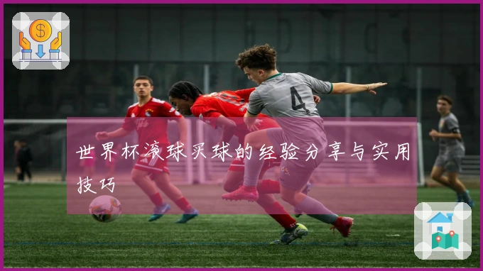 世界杯滚球买球的经验分享与实用技巧