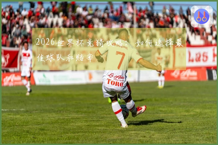2026世界杯竞猜攻略：如何选择最佳球队和赔率