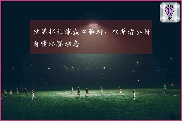 世界杯让球盘口解析，初学者如何看懂比赛动态