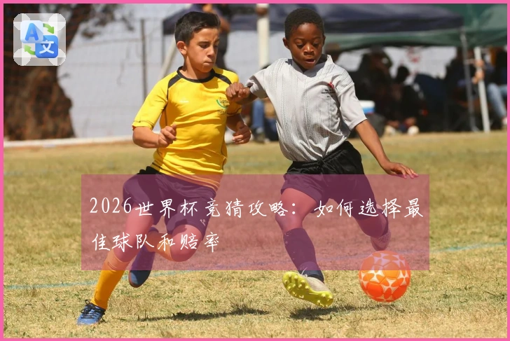 2026世界杯竞猜攻略：如何选择最佳球队和赔率