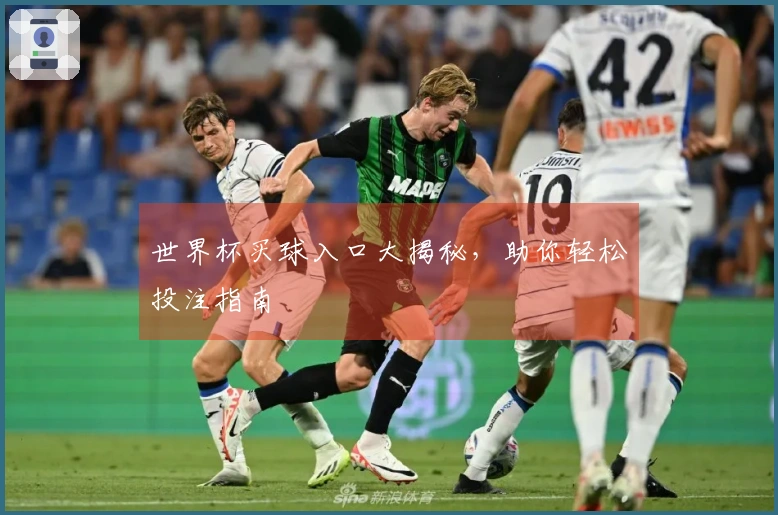 世界杯买球入口大揭秘，助你轻松投注指南