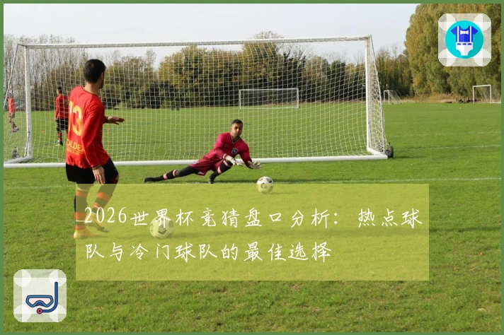 2026世界杯竞猜盘口分析：热点球队与冷门球队的最佳选择