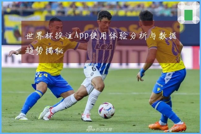 世界杯投注App使用体验分析与数据趋势揭秘