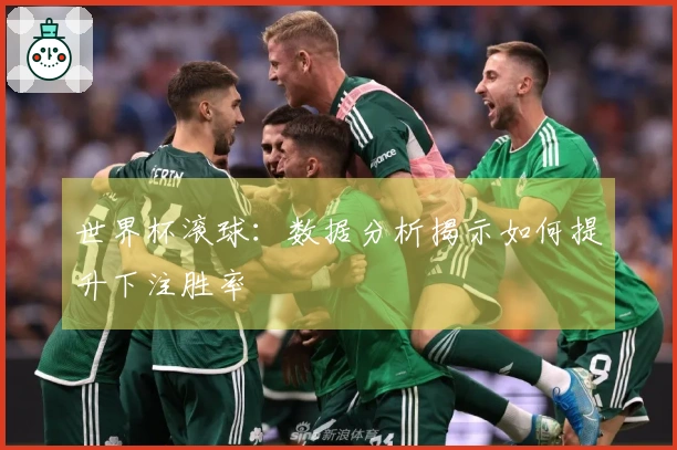 世界杯滚球：数据分析揭示如何提升下注胜率