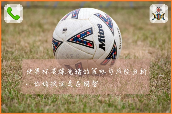 世界杯滚球竞猜的策略与风险分析，你的投注是否明智