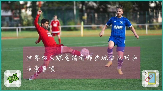 世界杯买球竞猜有哪些玩法技巧和注意事项