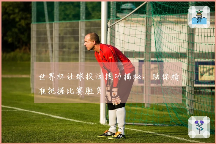 世界杯让球投注技巧揭秘，助你精准把握比赛胜负