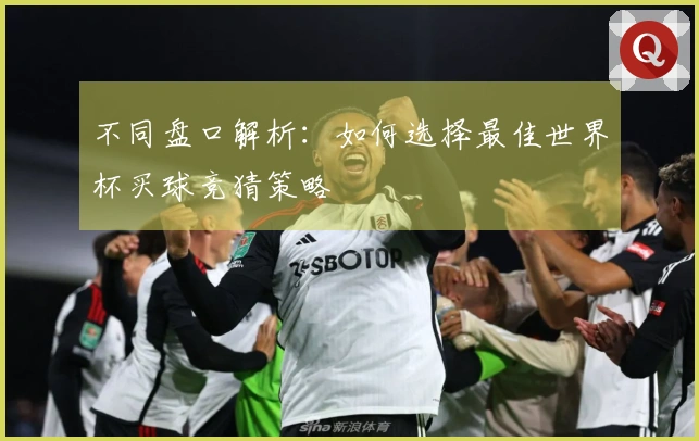 不同盘口解析：如何选择最佳世界杯买球竞猜策略