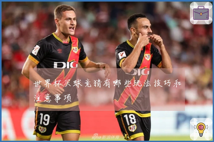 世界杯买球竞猜有哪些玩法技巧和注意事项